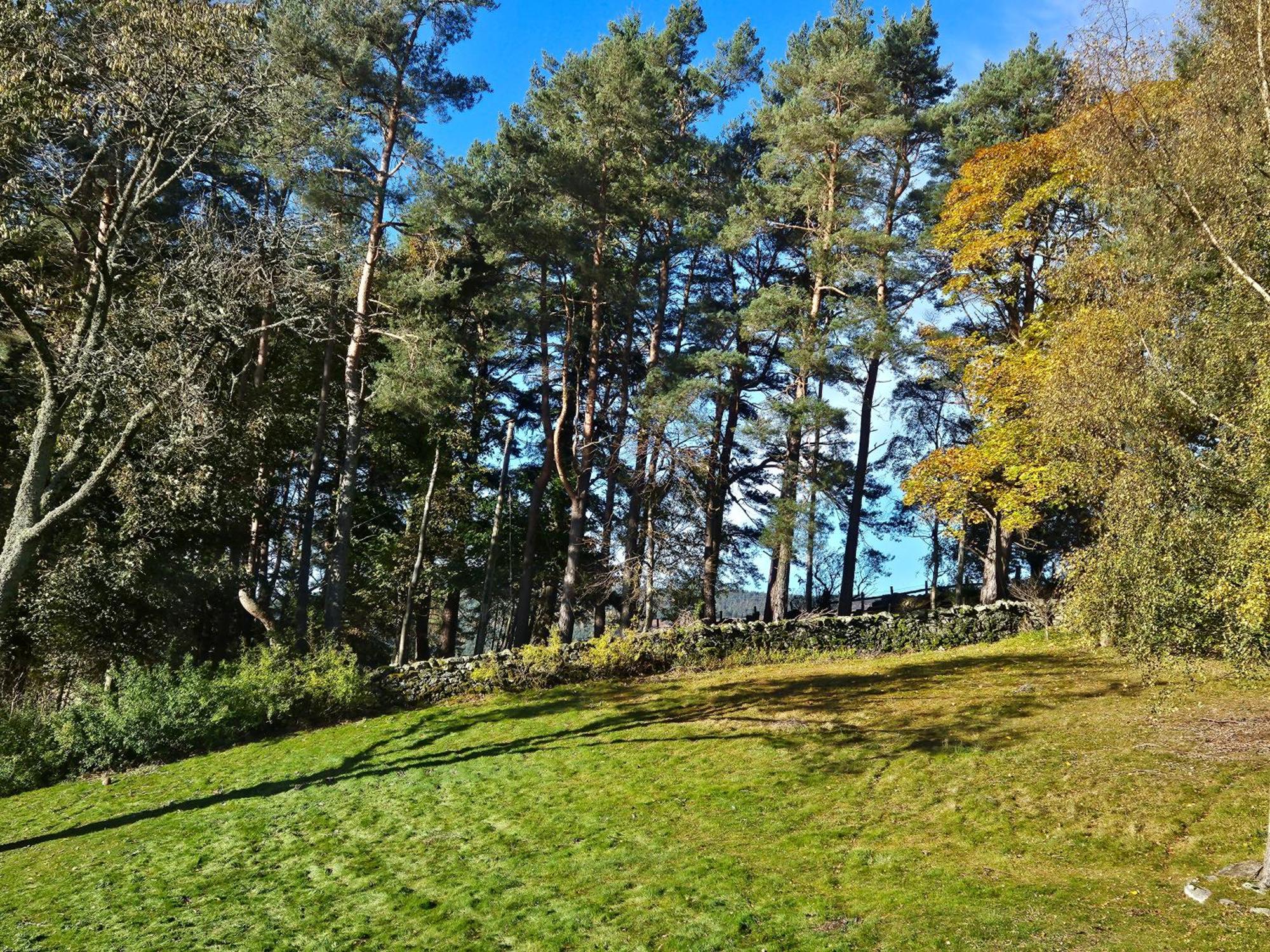 Craggan Bed and Breakfast Ballater Buitenkant foto
