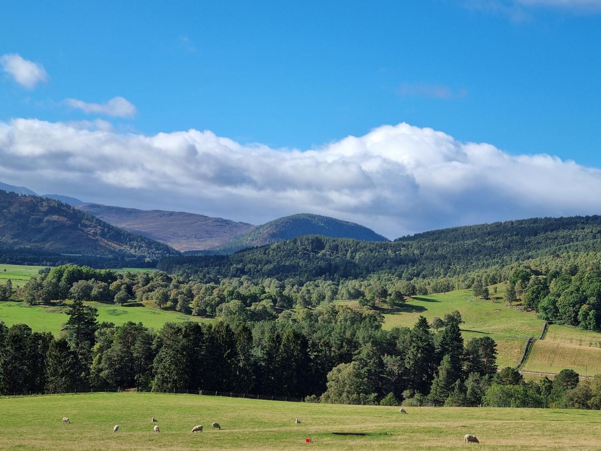 Craggan Bed and Breakfast Ballater Buitenkant foto