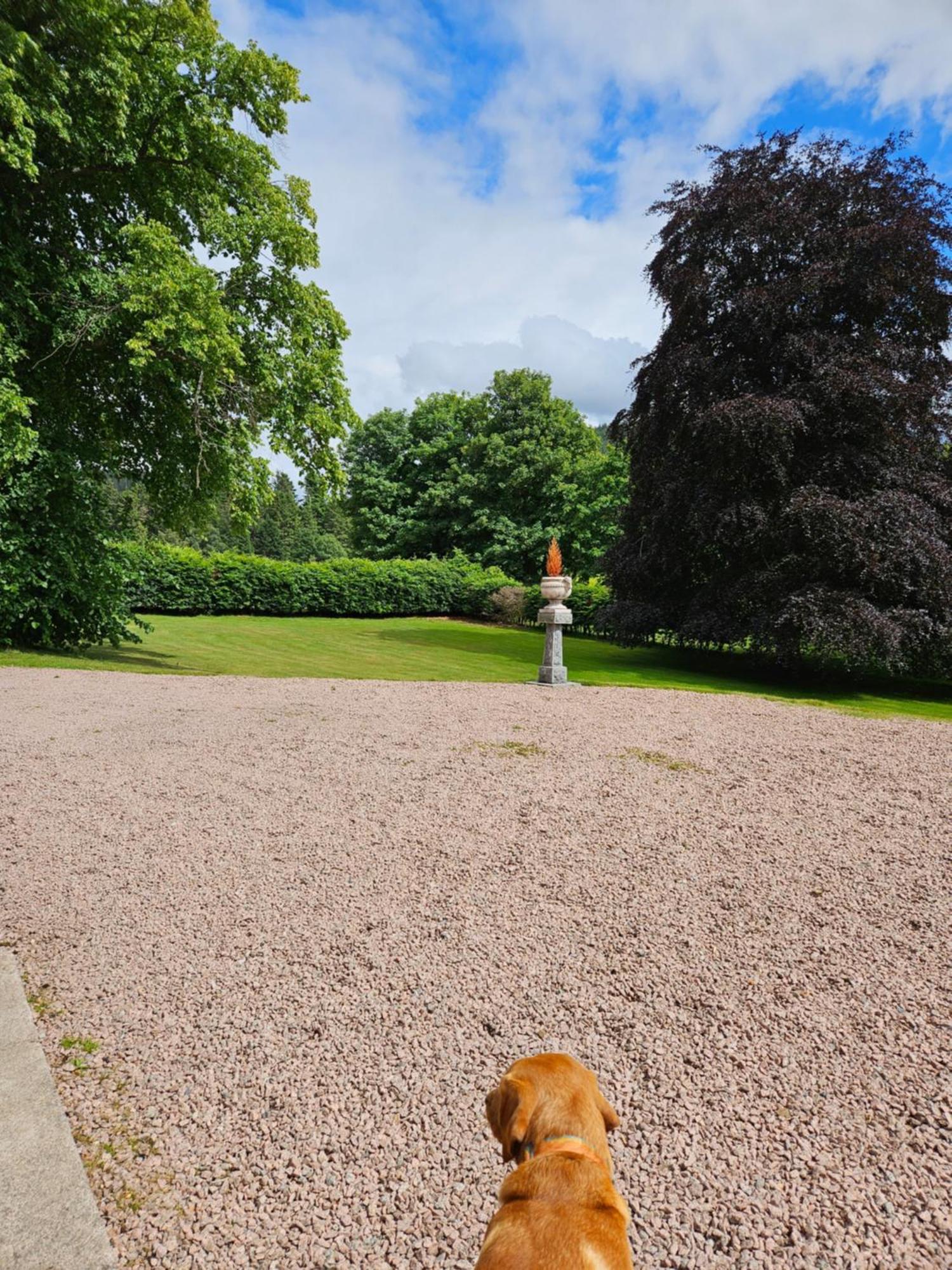 Craggan Bed and Breakfast Ballater Buitenkant foto